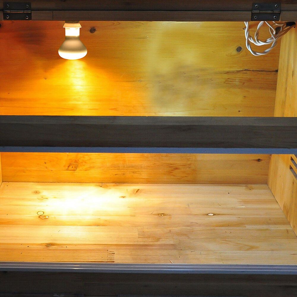 Basking Bulb Halogen - Controlador de Temperatura para Lámpara de