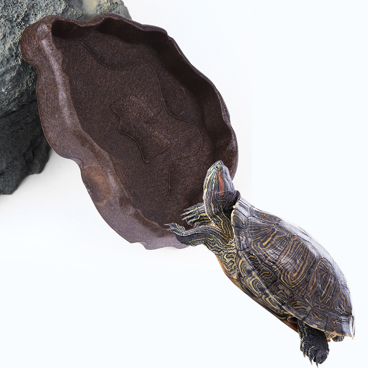 Plato de Resina para Reptiles, - Water Dish Reptile reseña y precio