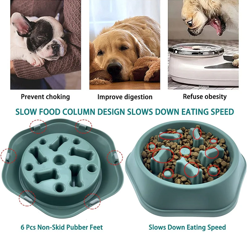 Nuevo Comedero Lento para Perr - Royal Canin Food Medium reseña y precio