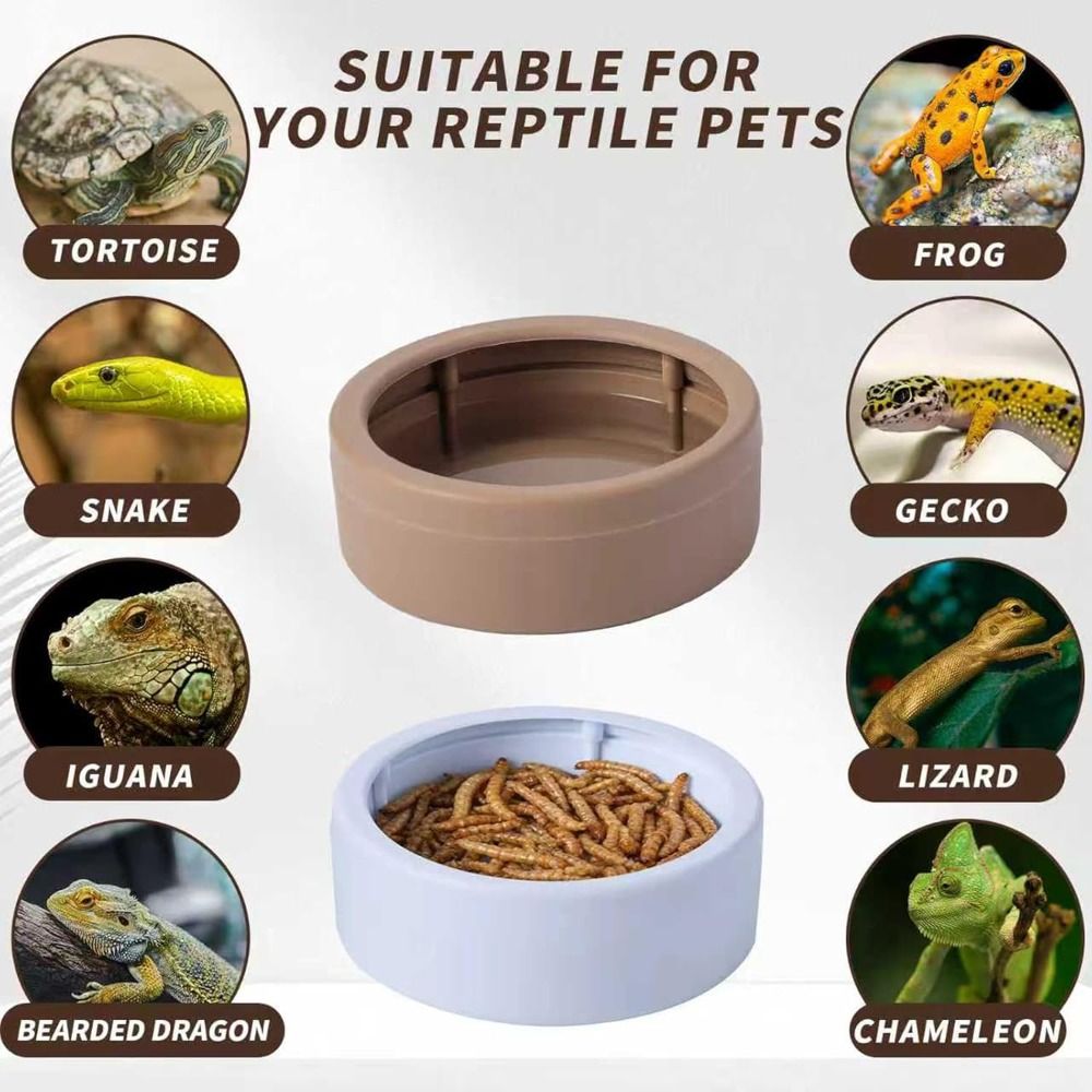 Comedero Portátil Anti-Escape  - Water Dish Reptile reseña y precio