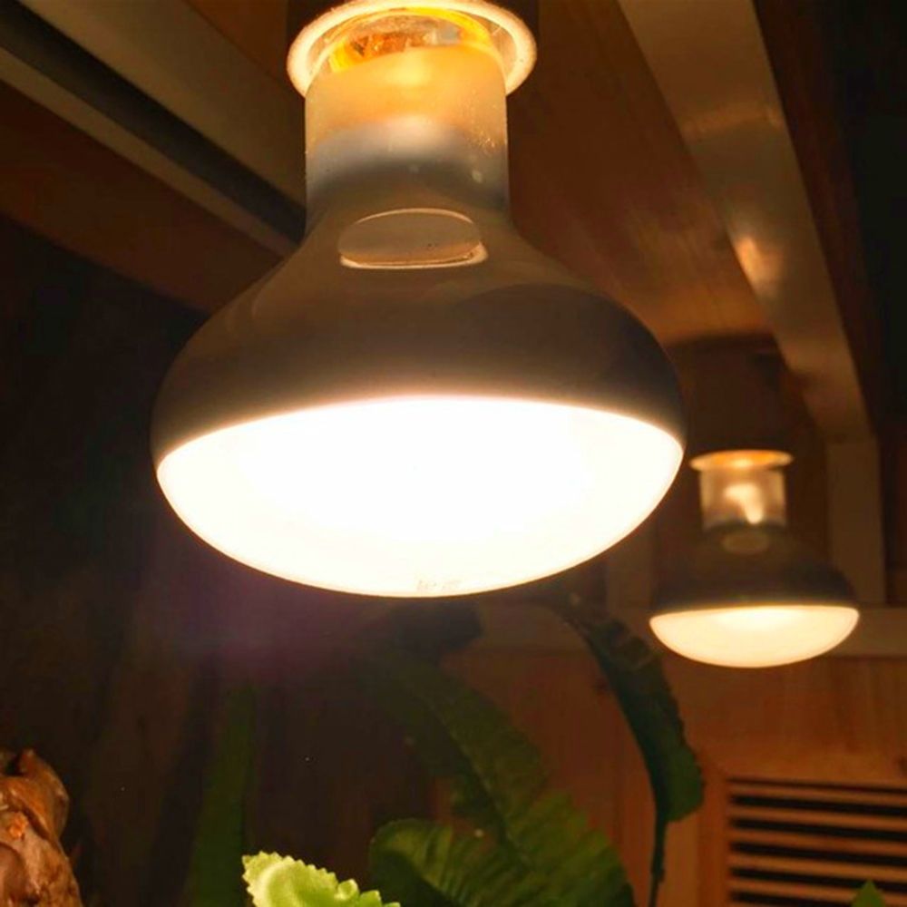 Controlador de temperatura de  - Basking Bulb Halogen reseña y precio