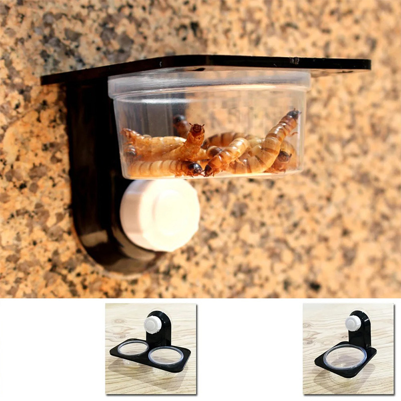 Accesorios para tanque de rept - Water Dish Reptile reseña y precio