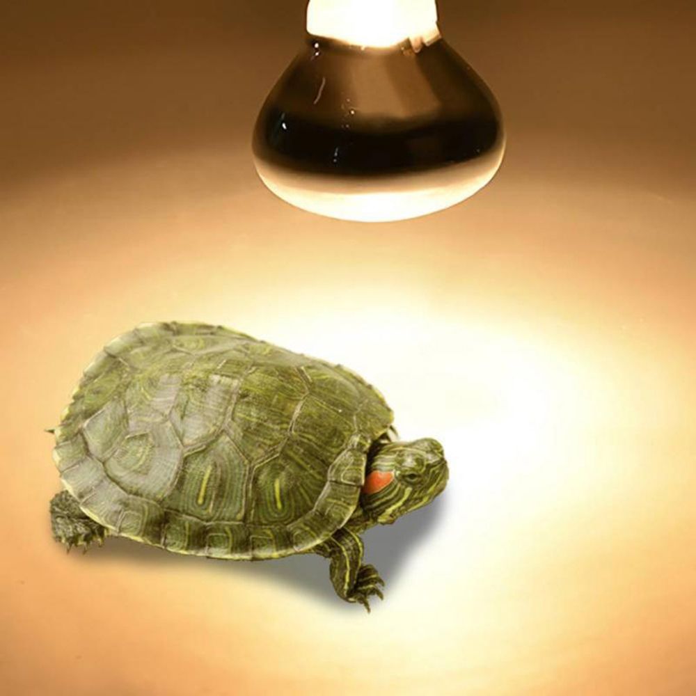 Lámpara de calor para anfibios - Basking Bulb Halogen reseña y precio