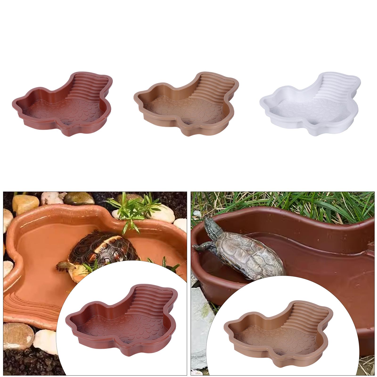 Plato de baño para reptiles, p - Water Dish Reptile reseña y precio