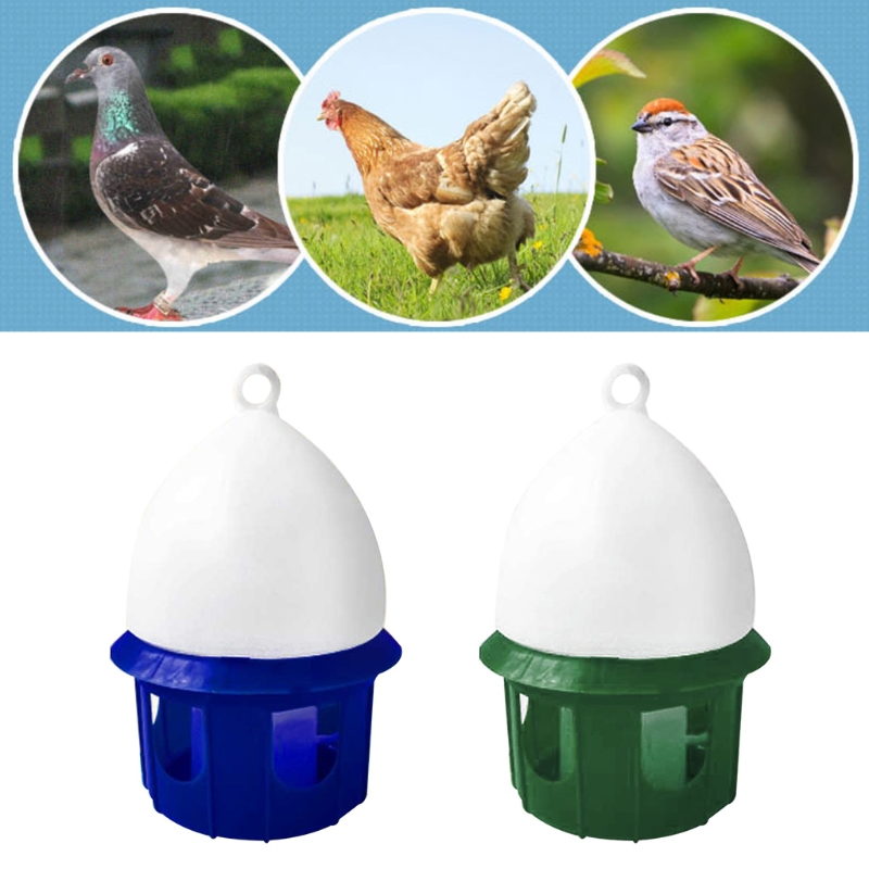 Dispensador agua para palomas, - Vitamin D3 Reptile reseña y precio