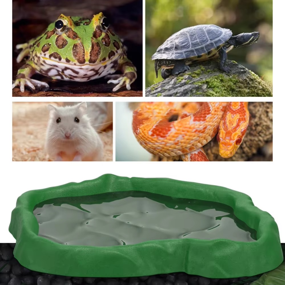 Comedero de resina ABS para re - Water Dish Reptile reseña y precio