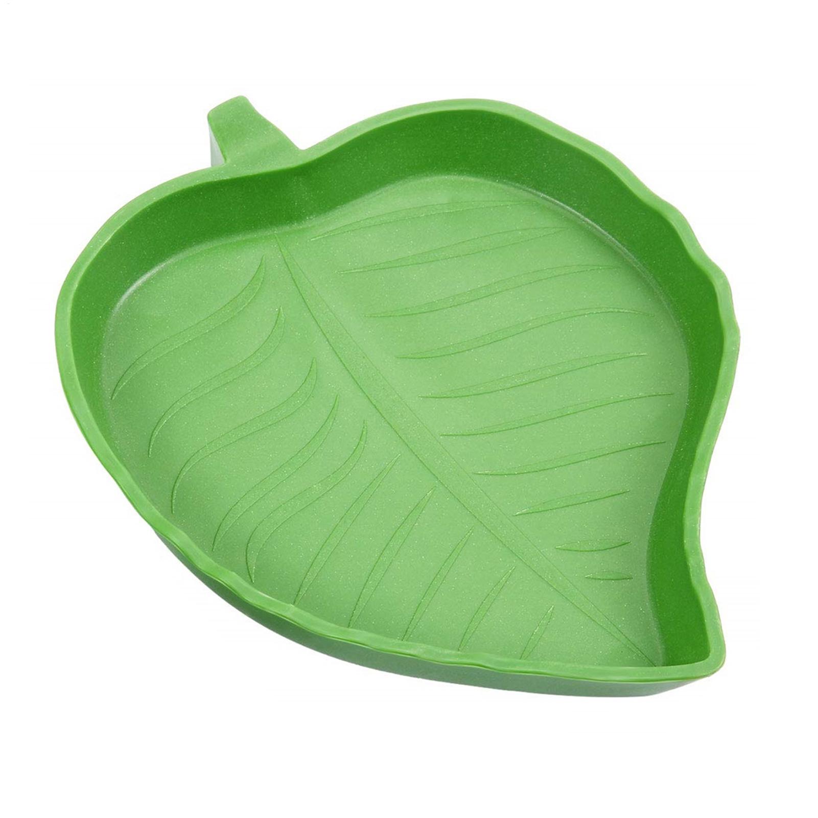 Cuenco de agua y comida para r - Water Dish Reptile reseña y precio